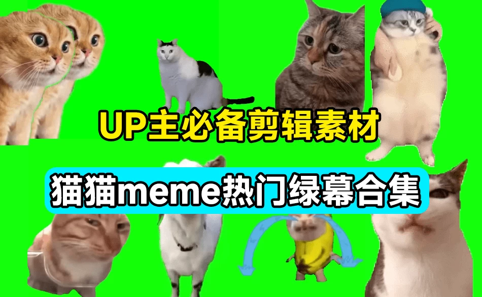 UP主必备！B站某音热门绿幕视频素材，180套猫猫meme动态绿幕合集包，含背景图BGM，含使用教程-云端资源分享